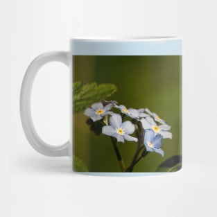 Forget-me-not Panorama Mug